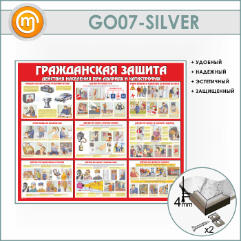 ����� ������������ ������ (GO-07-SILVER)