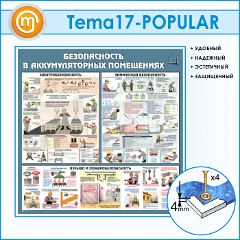 ����� ��������������� ���������� (TM-17-POPULAR)