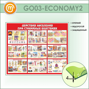 ����� ��������� ��������� ��� ��������� ���������� (GO-03-ECONOMY2)