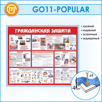 ����� ������������ ������ (GO-11-POPULAR)