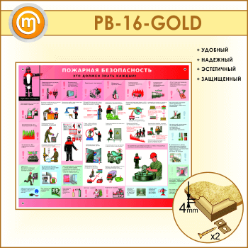 ����� ��������� ������������. ��� ������ ����� ������ (PB-16-GOLD)
