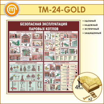 ����� ����������� ������������ ������� ������ (TM-24-GOLD)