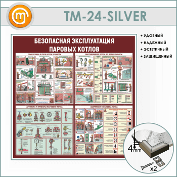 ����� ����������� ������������ ������� ������ (TM-24-SILVER)