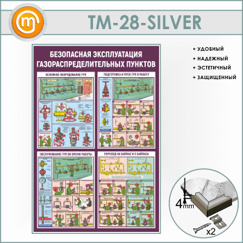 ����� ����������� ������������ ��������������������� ������� (TM-28-SILVER)