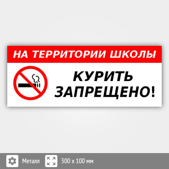 Табличка «На территории школы курить запрещено», B112 (металл, 300х100 мм)
