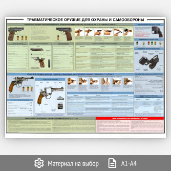 ������ ��������������� ������ ��� ������ � ������������ (���-09, 1 ����)